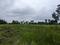 Bhasa Eco Village Main Image 1