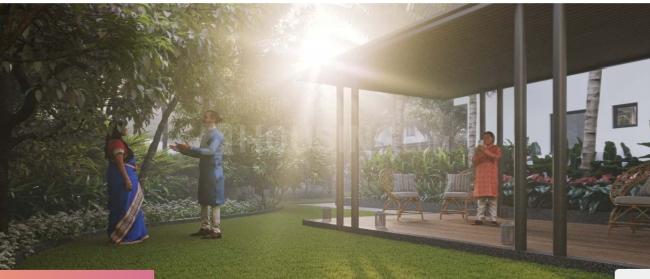 Signature Natures Edge Main Image 1