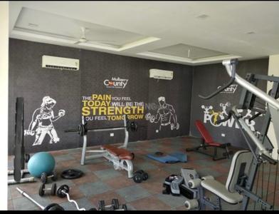 Hall Image of 1525 Sq.ft 3 BHK Apartment / Flat for rent in MGH Mulberry County, Sector 70 Faridabad for Rs. 30000