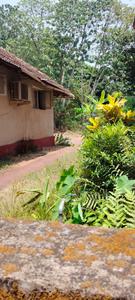 Ashok Nagar Plot View 1