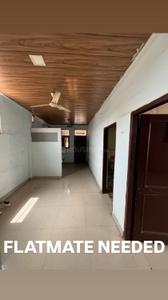 Image of 800 Sq.ft 1 RK Apartment / Flat for rent in Nayagaon, Chandigarh for Rs. 5500