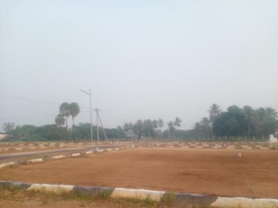 Image of 1200 Sq.ft Residential Plot / Land for sale in Chettinayakanpatti, Dindigul for Rs. 800000