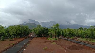 Neral Plot View 1