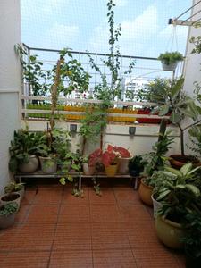 Living Room Image of 830 Sq.ft 2 BHK Apartment / Flat for rent in Sancheti Belcastel, Mundhwa Pune for Rs. 35000