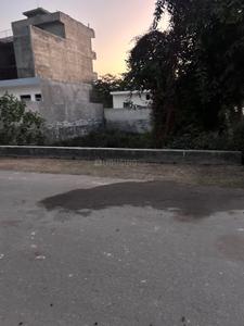 Sector 151 Plot View 2