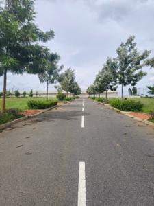 Residential Plot
