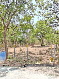 Image of 500 Sq.ft Residential Plot / Land for sale in Dharmavaram, Secunderabad for Rs. 6000000