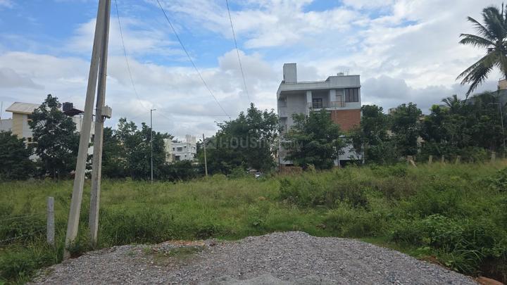 Sampigehalli Main Image 1