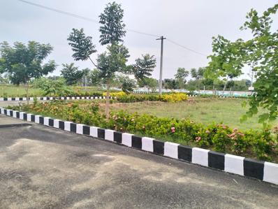 Bhogapuram Plot View 3