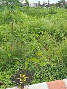 Image of 1000 Sq.ft Residential Plot / Land for sale in Indra Premium Hi Link Shri Narayan Continental, Nainod, Indore for Rs. 4800000