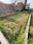 Bajwa Sunny Enclave Plot View 2