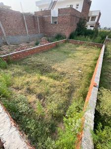 Bajwa Sunny Enclave Plot View 2