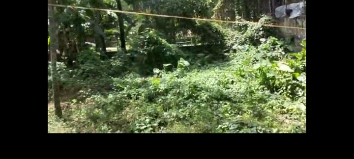 Buniadpur Main Image 1