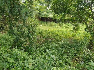 Image of 1500 Sq.ft Residential Plot / Land for sale in Phulnakhara, Cuttack for Rs. 6500000
