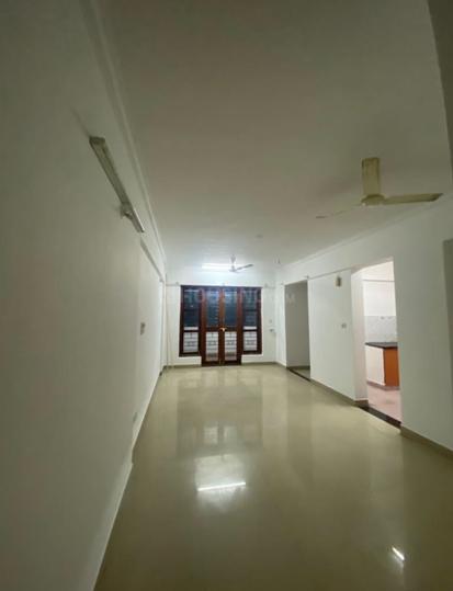 SPL Scintilla Main Image 1