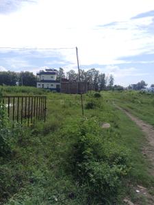 Image of 1240 Sq.ft Residential Plot / Land for sale in Haldwani, Nainital for Rs. 4588000