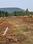 Lankela Palem Plot View 2