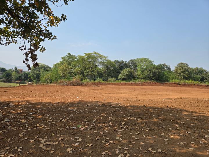 Signature Desire Main Image 1