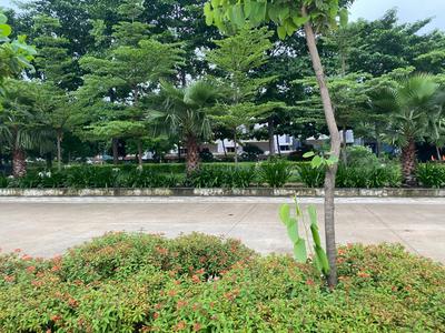 Image of 398 Sq.ft Residential Plot / Land for sale in Bhilai Marshalling Yard, Charoda for Rs. 1600000