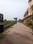 Nest Valley Internal Roads 1