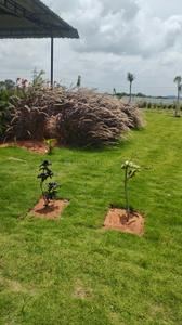 Image of 201 Sq.ft Residential Plot / Land for sale in Shad Nagar Heights 2, Mogalagidda, Ranga Reddy for Rs. 4261000