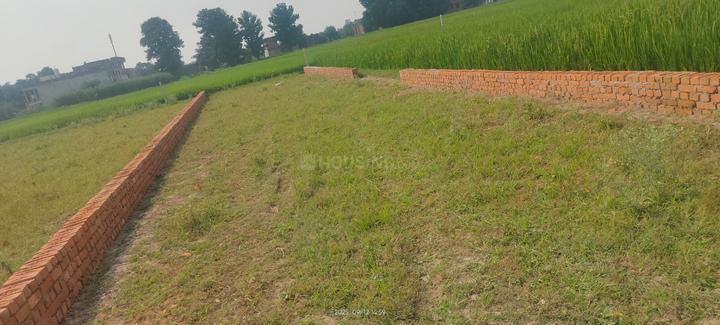 Phaphamau Main Image 1