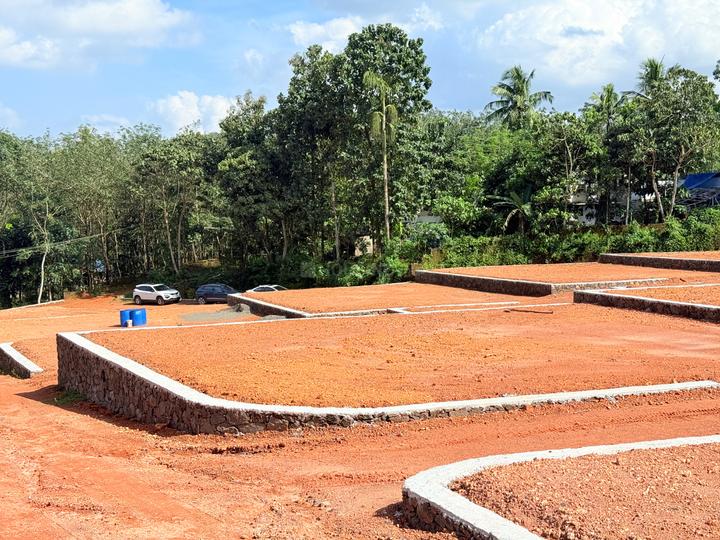 Thrippunithura Main Image 1