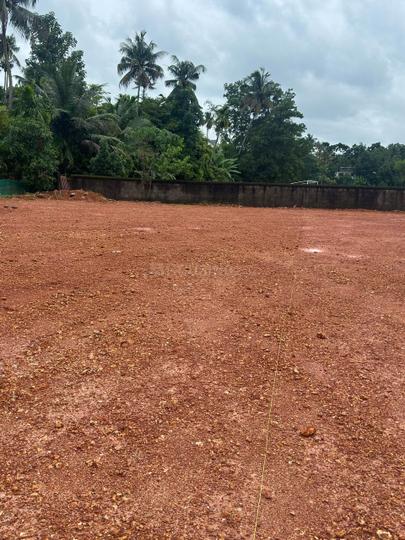 Pallikkara Main Image 1