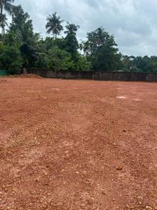 Pallikkara Plot View 1