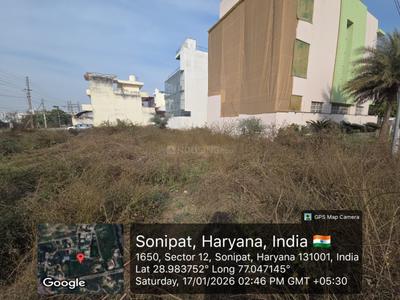 Sector 12 Plot View 2