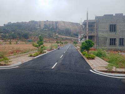 VJ Developer Plot View 2