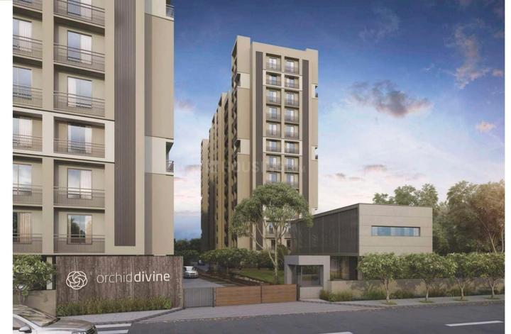 Orchid Divine Main Image 1