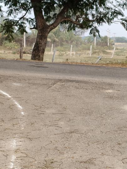 Open lands to invest Main Image 1