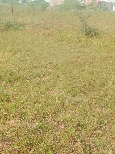 Boria Kal Main Image 1