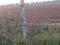 Sangareddy Town Main Image 1