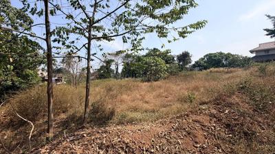 Kakkanad Plot View 2