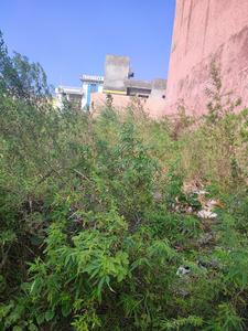 Residential Plot