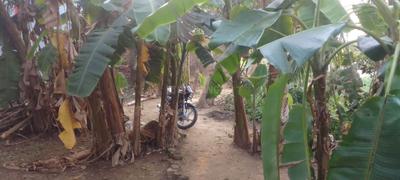 Tarkeshwar Plot View 2