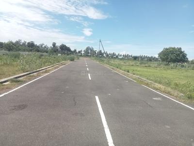 CKP Garden Plot View 2