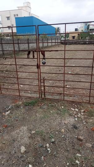 Injambakkam Main Image 1