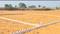 Bihta Main Image 1