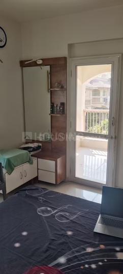 Gala Marigold Main Image 1