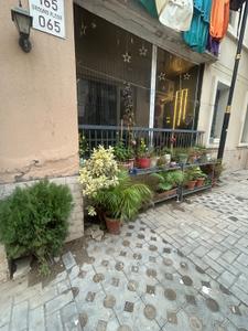 Image of 1050 Sq.ft 2 BHK Apartment / Flat for rent in Sector 115, Mohali for Rs. 25000