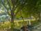 Omex city Plot View 2