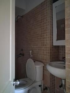 Common Bathroom Image of 1410 Sq.ft 3 BHK Apartment / Flat for sale in Paras Tierea, Sector 137 Noida for Rs. 12500000