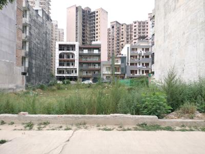 Phase 1 Plot View 1