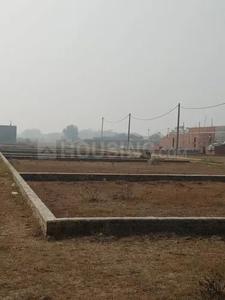 Sector 46 Plot View 2
