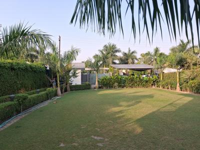 Playing Area Image of 1650 Sq.ft 3 BHK Villa for sale in Dkrrish Alaska Farms, Nagli Bahrampur Noida for Rs. 16500000