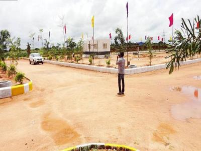 Royal Meadows Plot View 2