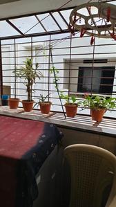 Balcony Image of 495 Sq.ft 1 BHK Apartment / Flat for sale in Janki Sahaniwas, Jaitala Nagpur for Rs. 2400000